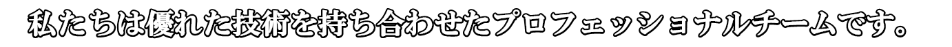 プロフェッショナルチーム